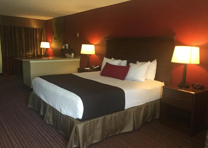 Surestay Plus By Best Western San Antonio Fiesta Inn